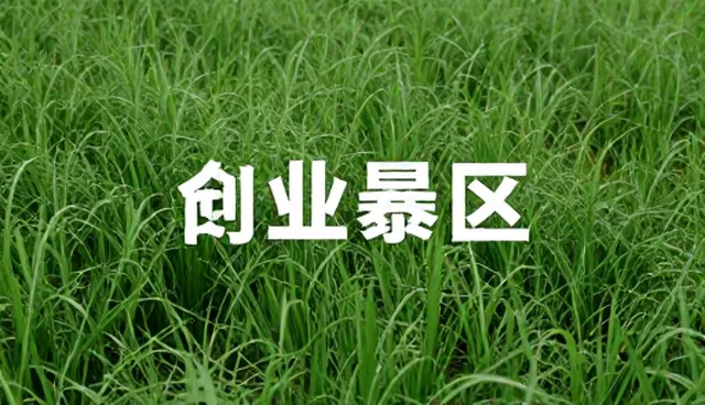 直播运营中品牌视觉认知的误区分析